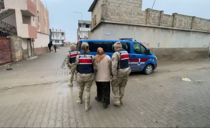Şanlıurfa merkezli terör operasyonu: 7 gözaltı
