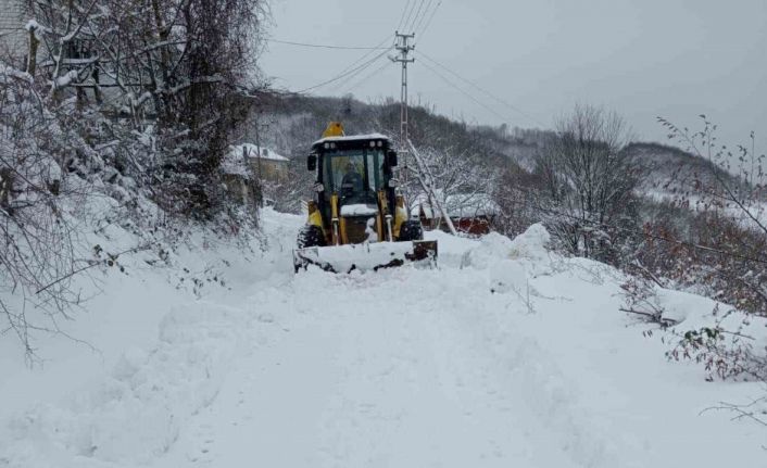 Sinop’ta karla mücadele çalışmaları devam ediyor