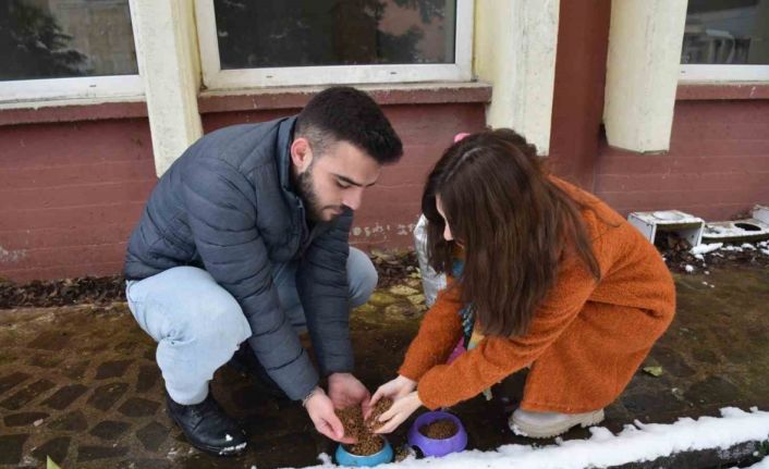 Soğuk havalarda sokak hayvanlarına OMÜ’den sıcak yardım