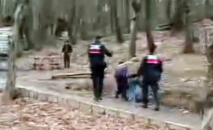 Tabiat Parkını tepeden tırnağa soydular