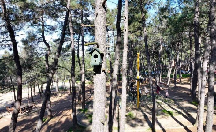 Ümraniye’de doğaya en güzel katkı: ‘Kuş evleri’
