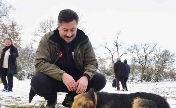 Yenişehir Belediyesi yaban hayvanlar ve kuşlar için beslenme noktaları oluşturdu
