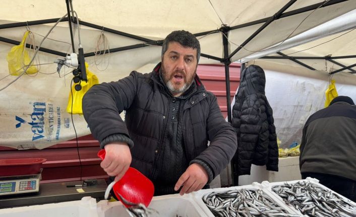 Zonguldakta hamsi 100 liradan alıcı buldu