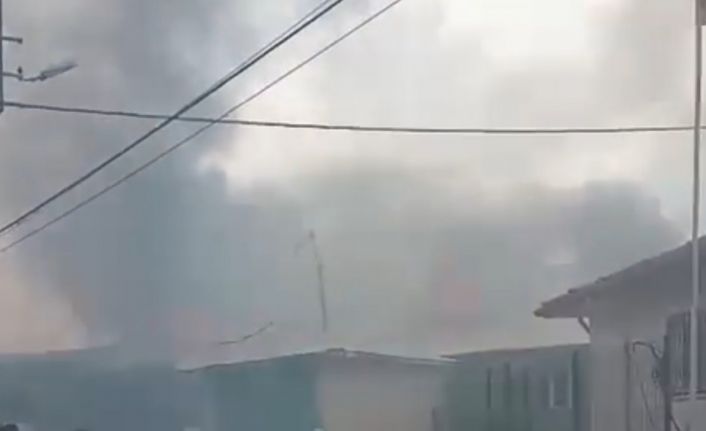 Bacadan çıkan yangın ahır ve samanlığı küle çevirdi