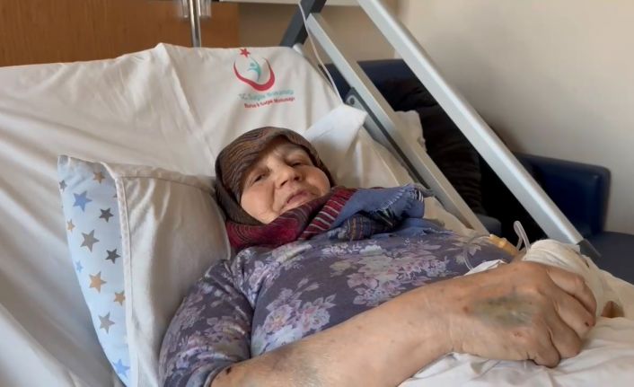 Başıboş köpekler 66 yaşındaki kadını yaraladı