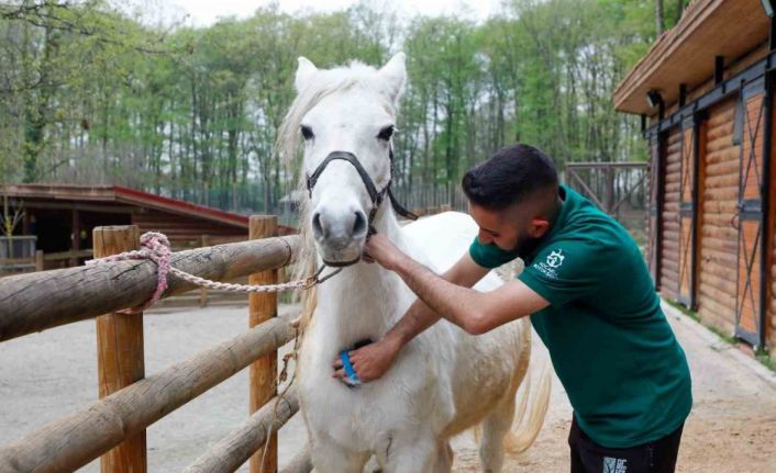 Bayramda doğanın kalbi Ormanya’da atacak