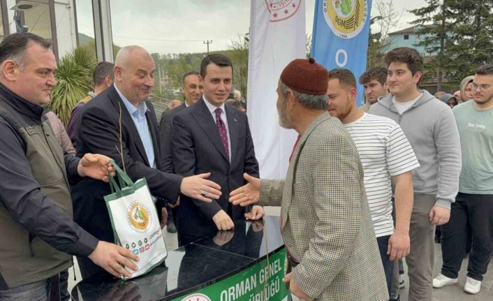 Binlerce kestane fidanı ücretsiz dağıtıldı