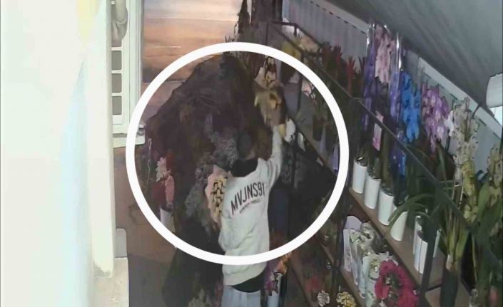 Çiçekçiden 5 bin liralık çiçek çalan hırsız güvenlik kamerasına yakalandı