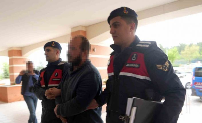 Çiftlik evlerini kenevir serasına çeviren sanıkların yargılanmasına devam edildi