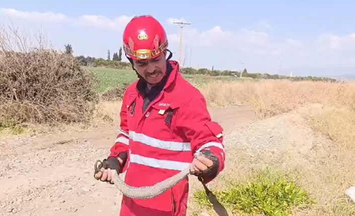 Evin bahçesine giren yılanı itfaiye yakaladı