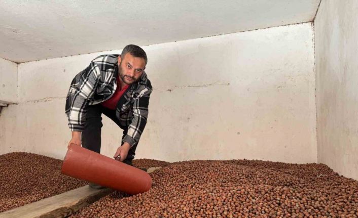 Fındık fiyatları rekor seviyeye ulaştı