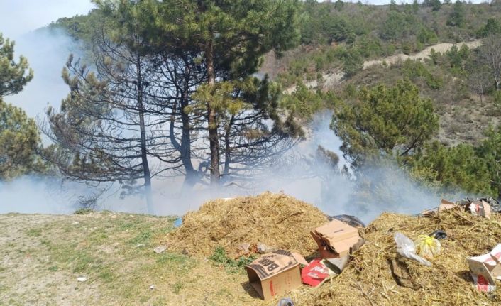 Gediz’deki orman yangını kontrol altına alındı