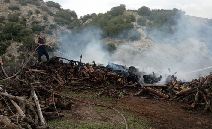 Odun yığınından başlayan yangın paniğe neden oldu