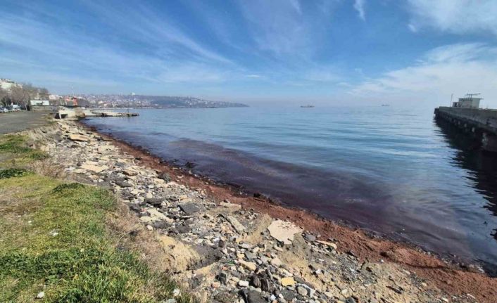 Tekirdağ’da kıyılar kızıl yosunlarla kaplandı