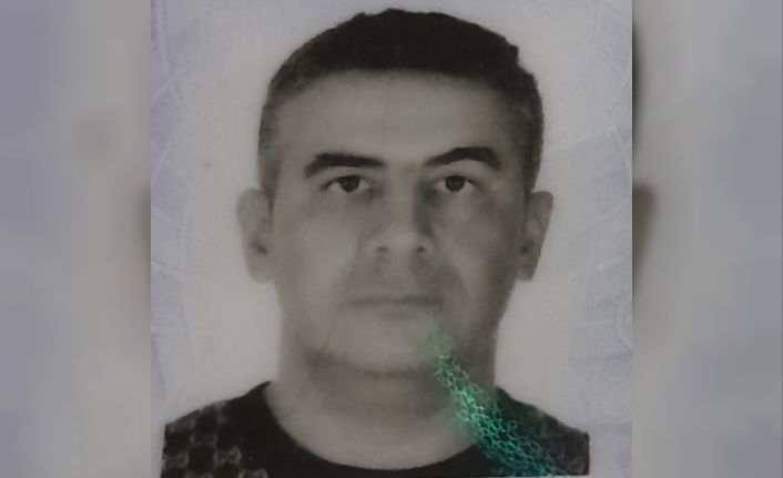 Ağaca çarpan otomobil sürücüsü hayatını kaybetti