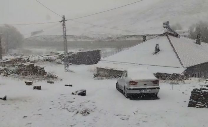 Ahlat’ta nisan ayında kar sürprizi
