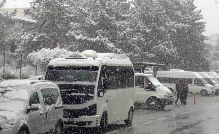 Ahlat’ta nisan karı etkili oldu
