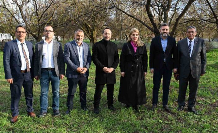 AK Parti milletvekillerinden Malatya’da kayısı incelemesi: "Üreticimizin yanındayız"