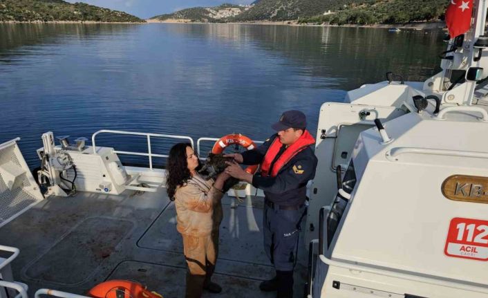 Antalya’da düzensiz göçmen operasyonu: 25’i çocuk 80 kişi kurtarıldı