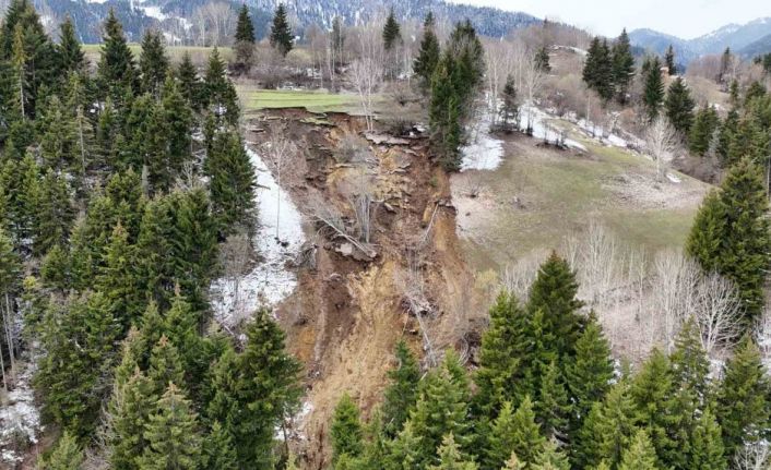Ardanuç’ta ormanlık alanda yaşanan heyelan korkuttu
