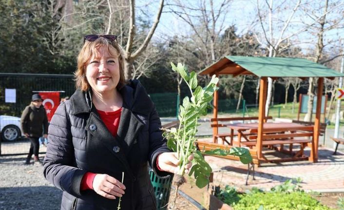 Ataşehir’de kent bostanlarının yeni sahipleri belli oldu