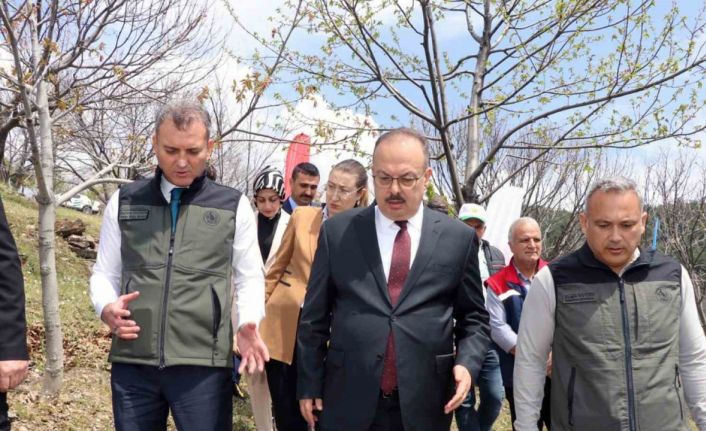 Aydında Kestane zararlısına karşı biyolojik mücadele