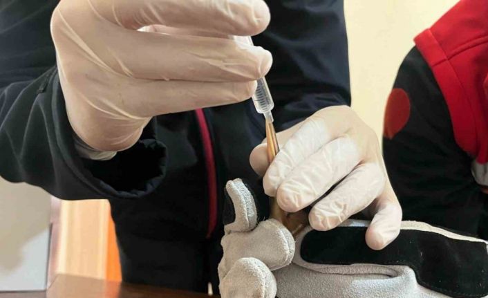 Balaban kuşuna uzanan şefkat eli