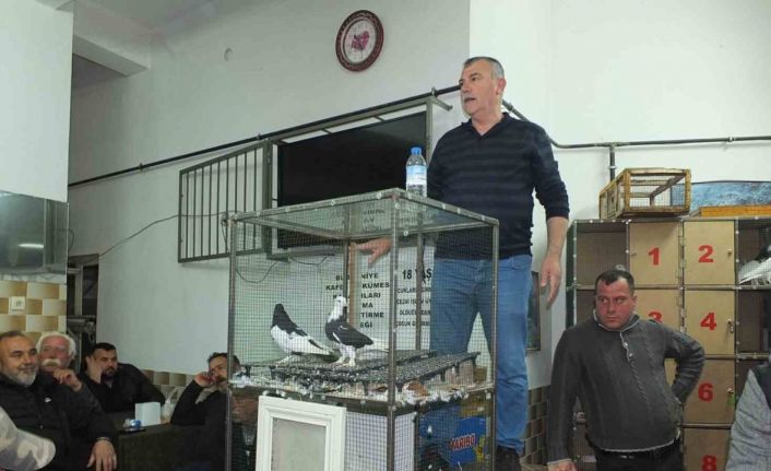 Balıkesir’de güvercin meraklıları buluştu