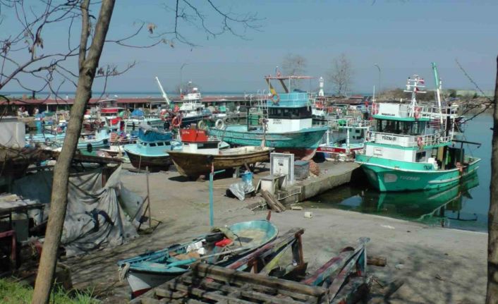 Batı Karadeniz’de balıkçılar sezonu erken kapattı