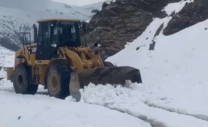 Batman’da 7 köy ve mezra yolu kar yağışı nedeniyle kapandı