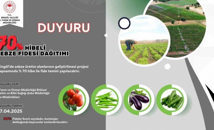 Bingölde çiftçilere yüzde 70 hibe destekli sebze fidesi dağıtılacak