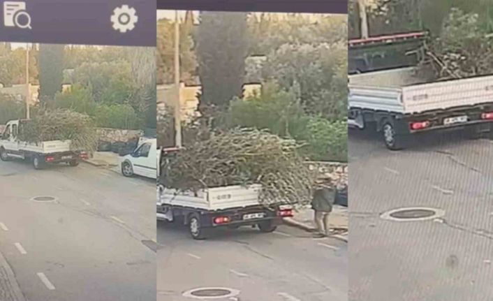 Bodrum Belediyesi’nden çevreyi kirletenlere cezai işlem