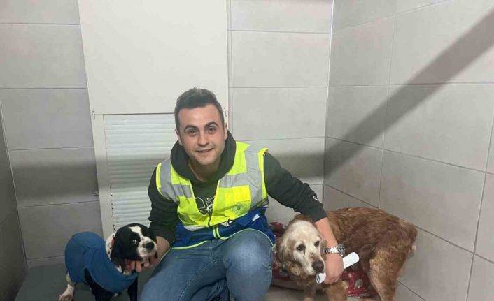 Bursa Büyükşehir, bayramda da can dostların yanında