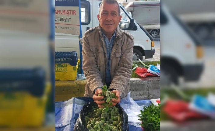 Çağla, Aydın’daki tezgahlarda yerini aldı: Kilosu 250 lira