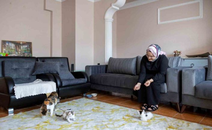 Cami avlusuna sığınan anne kedinin yavruları sahiplendirilecek