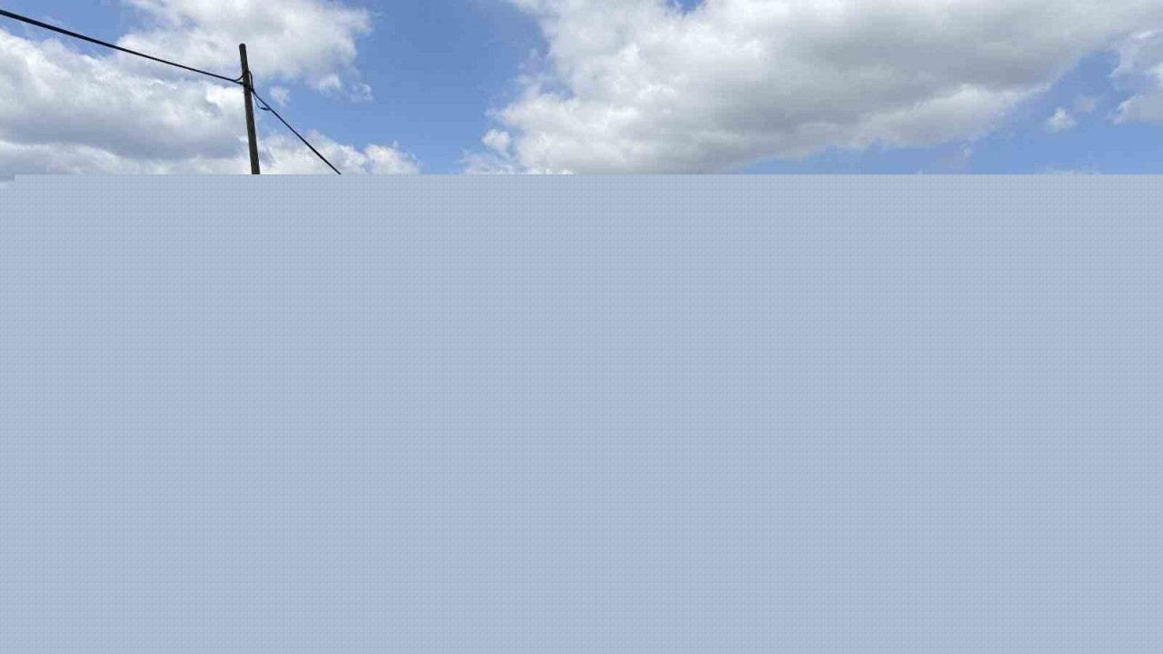 Çanakkale’de bir köye daha şap karantinası