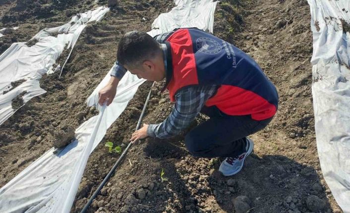 Çanakkale’de zirai donun ardından hasar tespit çalışmaları