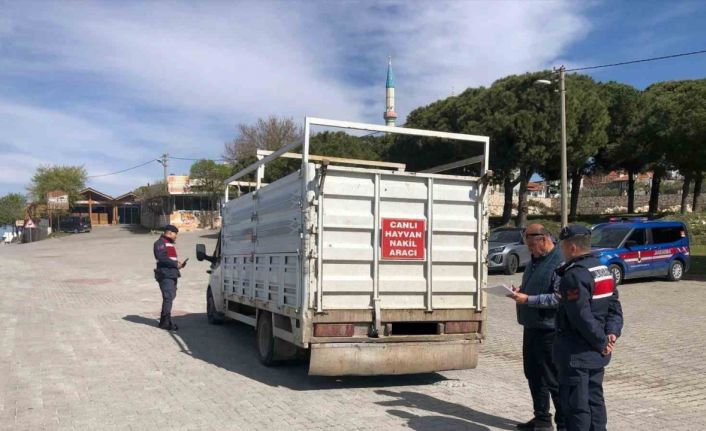 Canlı hayvan taşıyan araçlar denetlendi