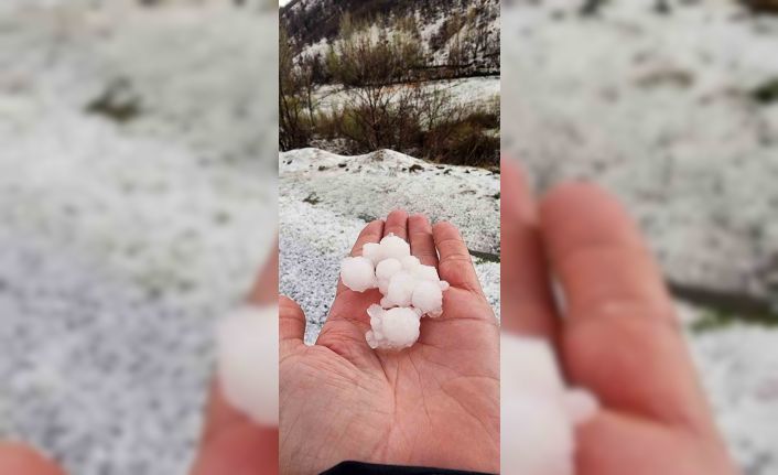 Ceviz büyüklüğünde yağdı, meyve ağaçları zarar gördü