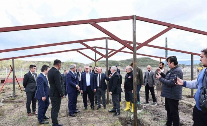 Çorum’da atıklardan sokak hayvanları için mama üretilecek
