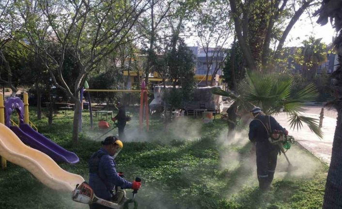 Didim Belediyesi yeşil alanlarda bakım çalışmalarını sürdürüyor
