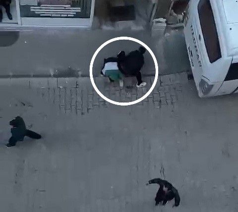 Elinde torpil patlayan çocuk ağır yaralandı