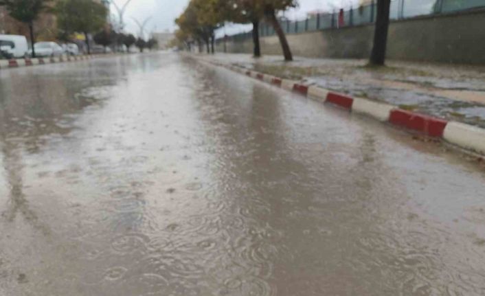 Erciş’te yağmur yağışı etkili oldu