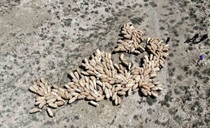 Erzincan’da meralar ihaleye çıkarıldı
