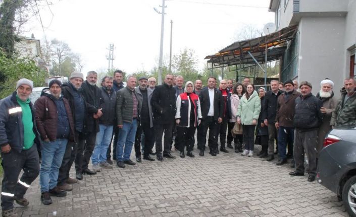 Fındıkta file sistemiyle verimlilik artıyor