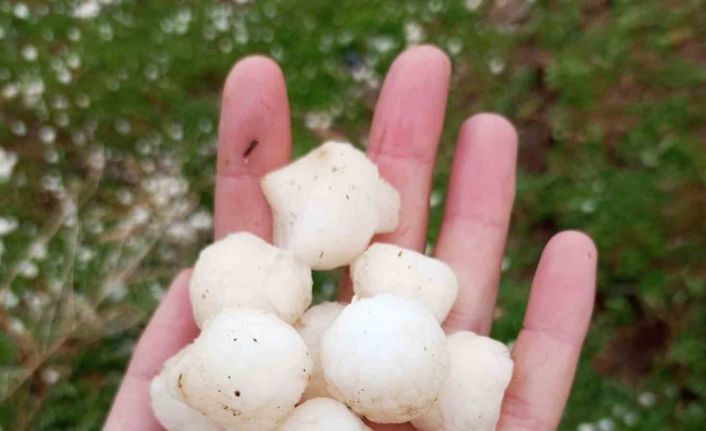 Gevaş’ta ceviz büyüklüğünde dolu yağdı