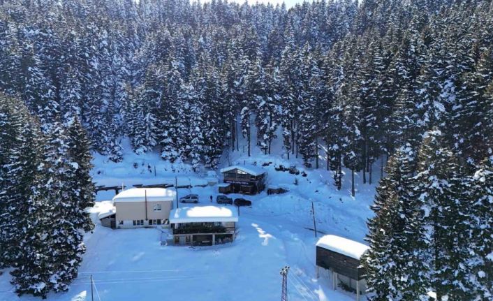 Giresun yaylaları nisan ayında beyaza büründü