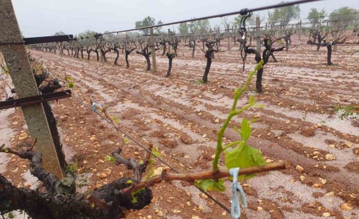 Güneyli çiftçilerin umudu başka bahara kaldı