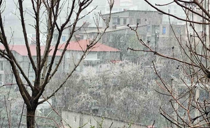 Hakkari’de Nisan ayında kar yağışı etkili oldu