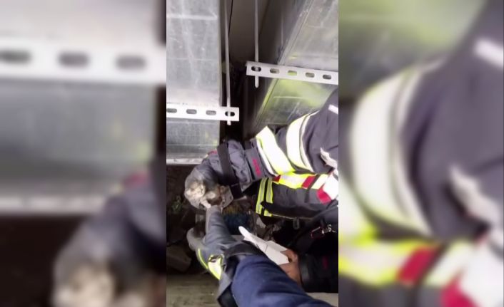Havalandırma boşluğuna düşen kedinin yardımına itfaiye koştu
